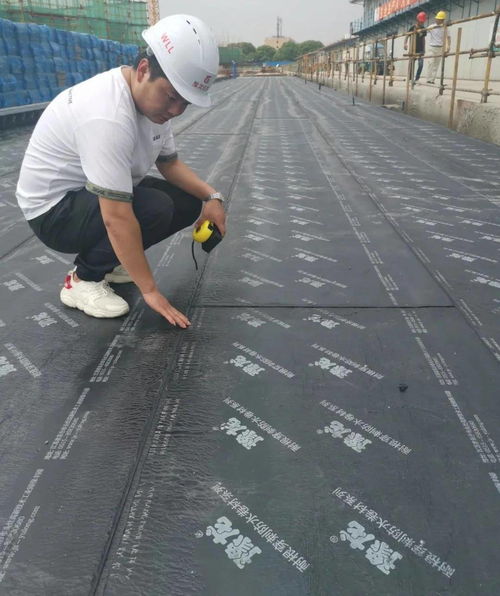 如何選購(gòu)防水材料呢 防水材料哪種好呢